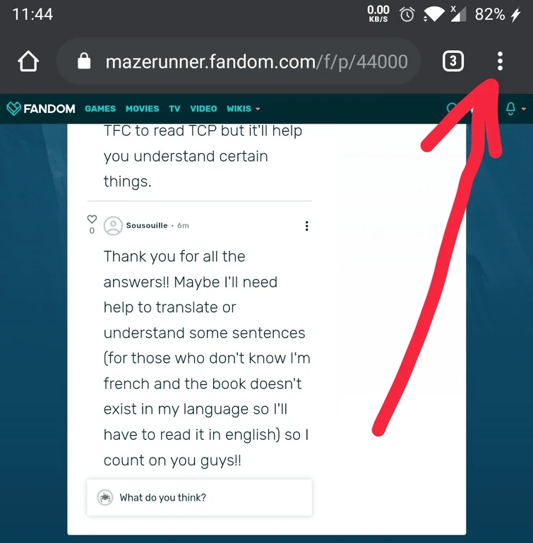 Is It Worth It Fandom