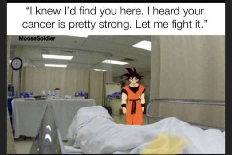 Meme 3 fandom