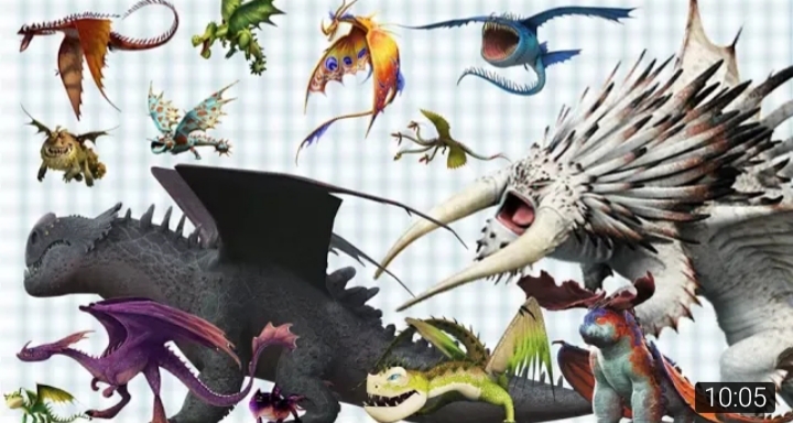 Расцветки драконов. Все виды драконов из как приручить дракона. Как приручить дракона артбук. Драконы и всадники олуха тайфумеранг. Драконы из как приручить дракона.