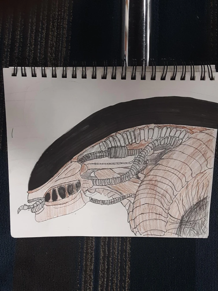 Discuss Everything About Xenopedia | Fandom