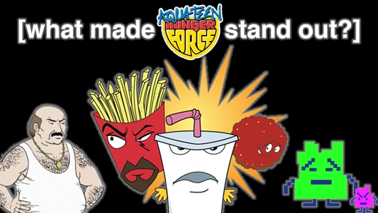 WHAT MADE AQUA TEEN HUNGER FORCE STAND OUT?