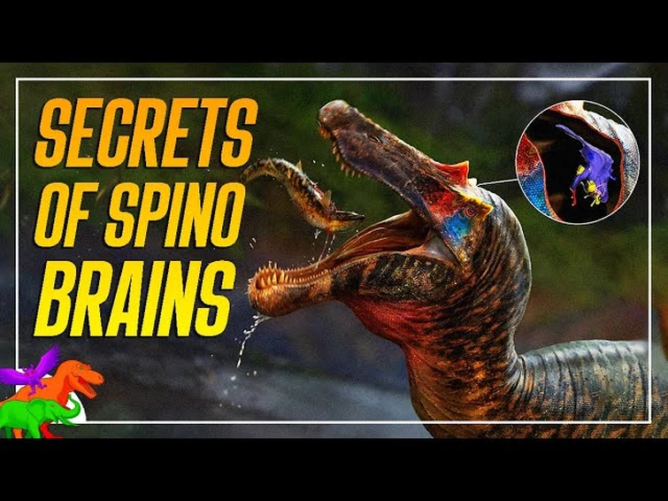 Shocking Truth of Spinosaur Brains Revealed!