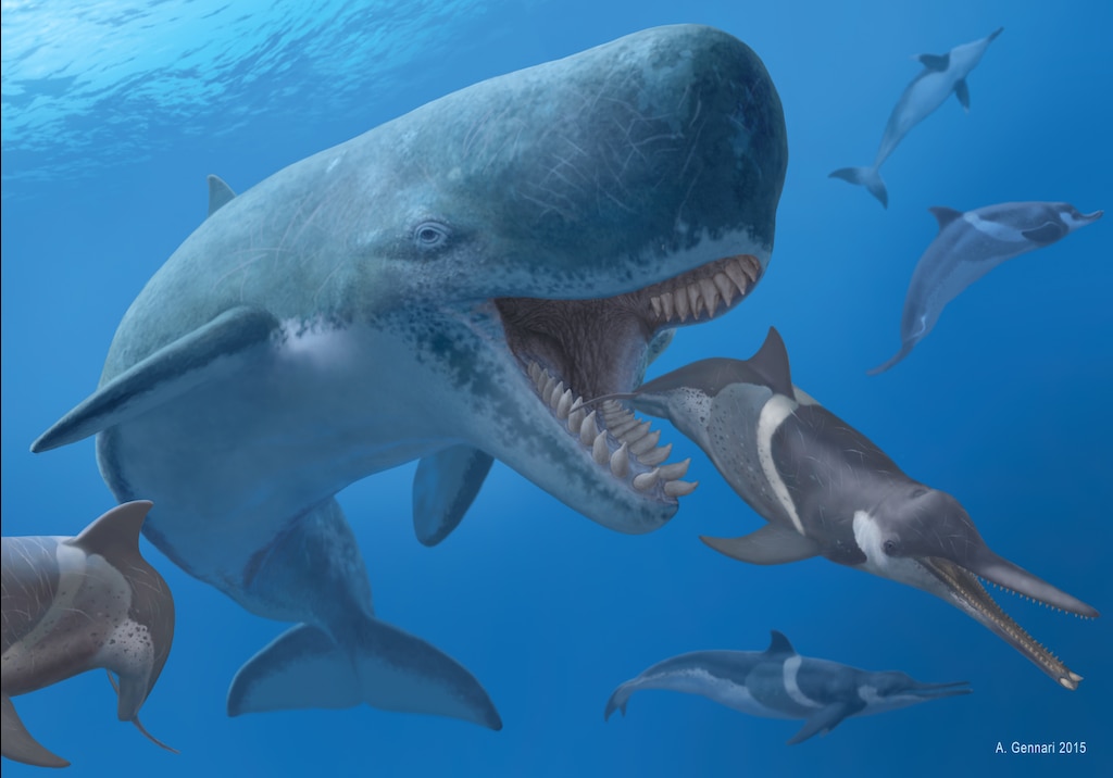 Livyatan vs Pliosaurus Macromerus Essay. | Fandom