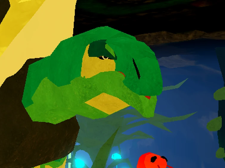 do you like this turtle | Fandom