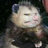 Fuzzypig11's avatar