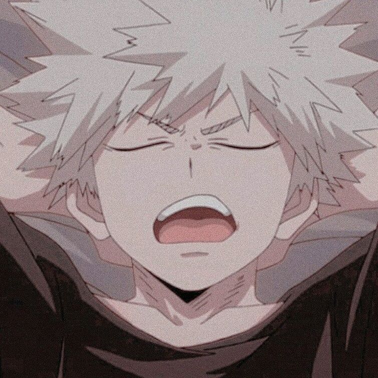 Why Is The Katsuki Bakugou Is Fing Pretty Fandom