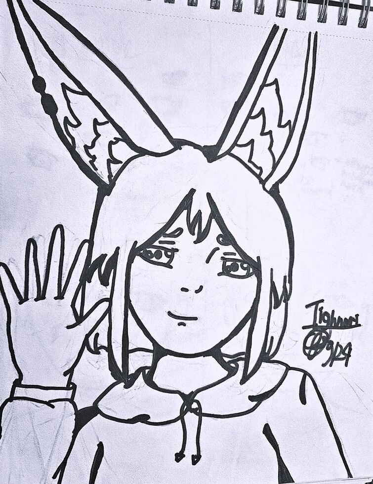 Fandom Image