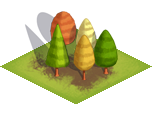 Forest.png