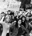 A Pig Is A Boy Is A Dog