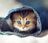 Opal beans's avatar