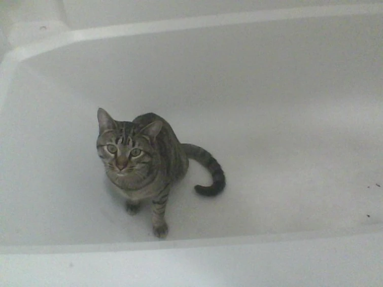 Lab roleplay | Fandom