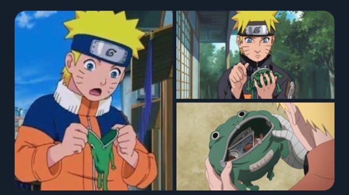 Naruto Frog glazing Purse