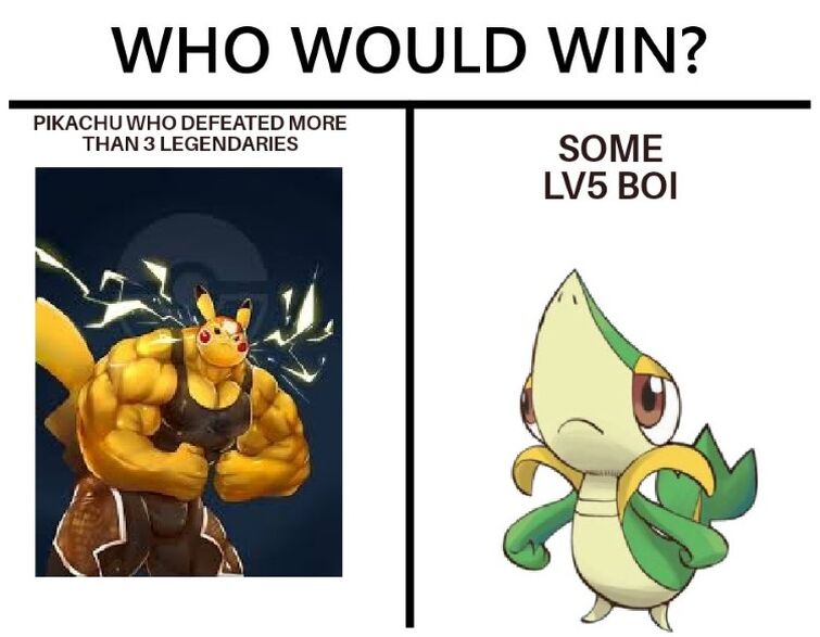Pokemon Memes I Swear To God Dont Put These On Hot Fandom