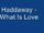 Haddaway - What is Love Lyrics
