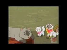 169D2B17-B1CE-47EA-A15D-30F293B35D3D