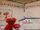 Elmo’s World