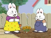 Max and ruby