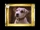 Wishbone