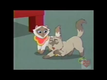 5F7142D3-C3BB-44F0-B0CC-DC7C8D01CD70