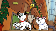 101 Dalmatians Main Characters.png
