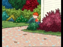 0CC19035-300A-497D-8F75-562E85612C71