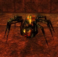 Spider2.jpg