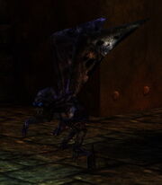 Iceimp.jpg