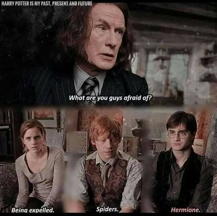 Fandom Image
