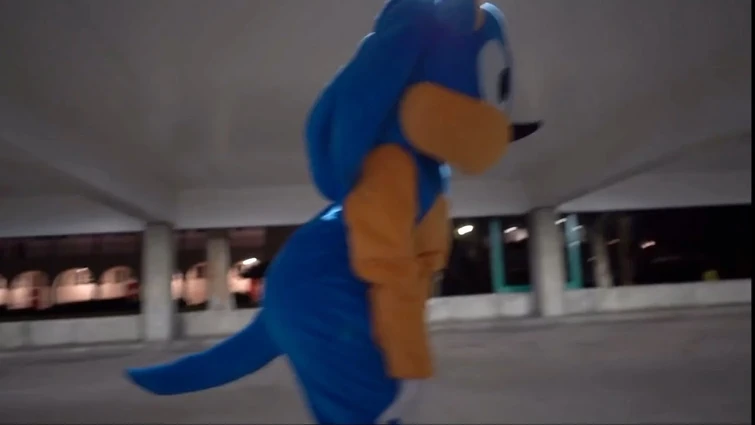 Sonic Real Sus Fandom