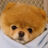 Shi again's avatar