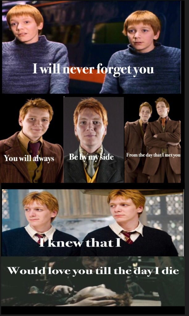 Harry Potter Meme Dump Fandom