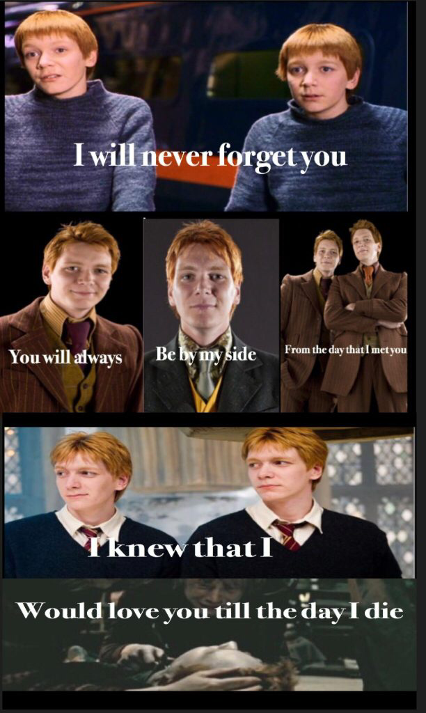 Clean Harry Potter Memes - -Unofficial Weasley