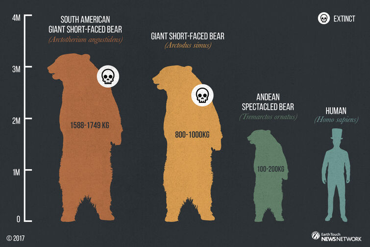 Short Faced Bear was NOT even close to the biggest bear ever Fandom