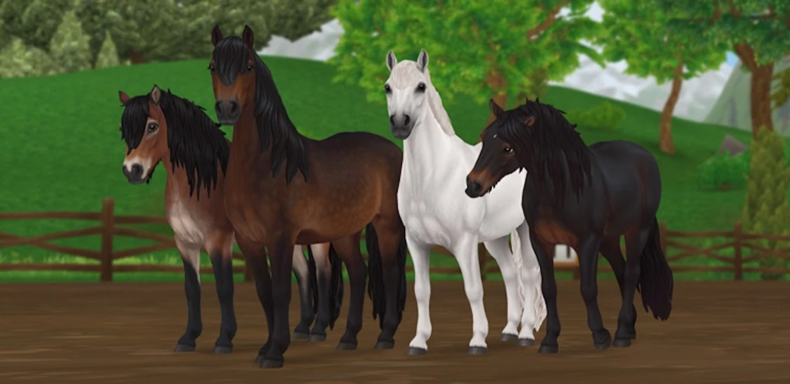 Pogadajmy o... Kuc dartmoor epizod 29 Fandom