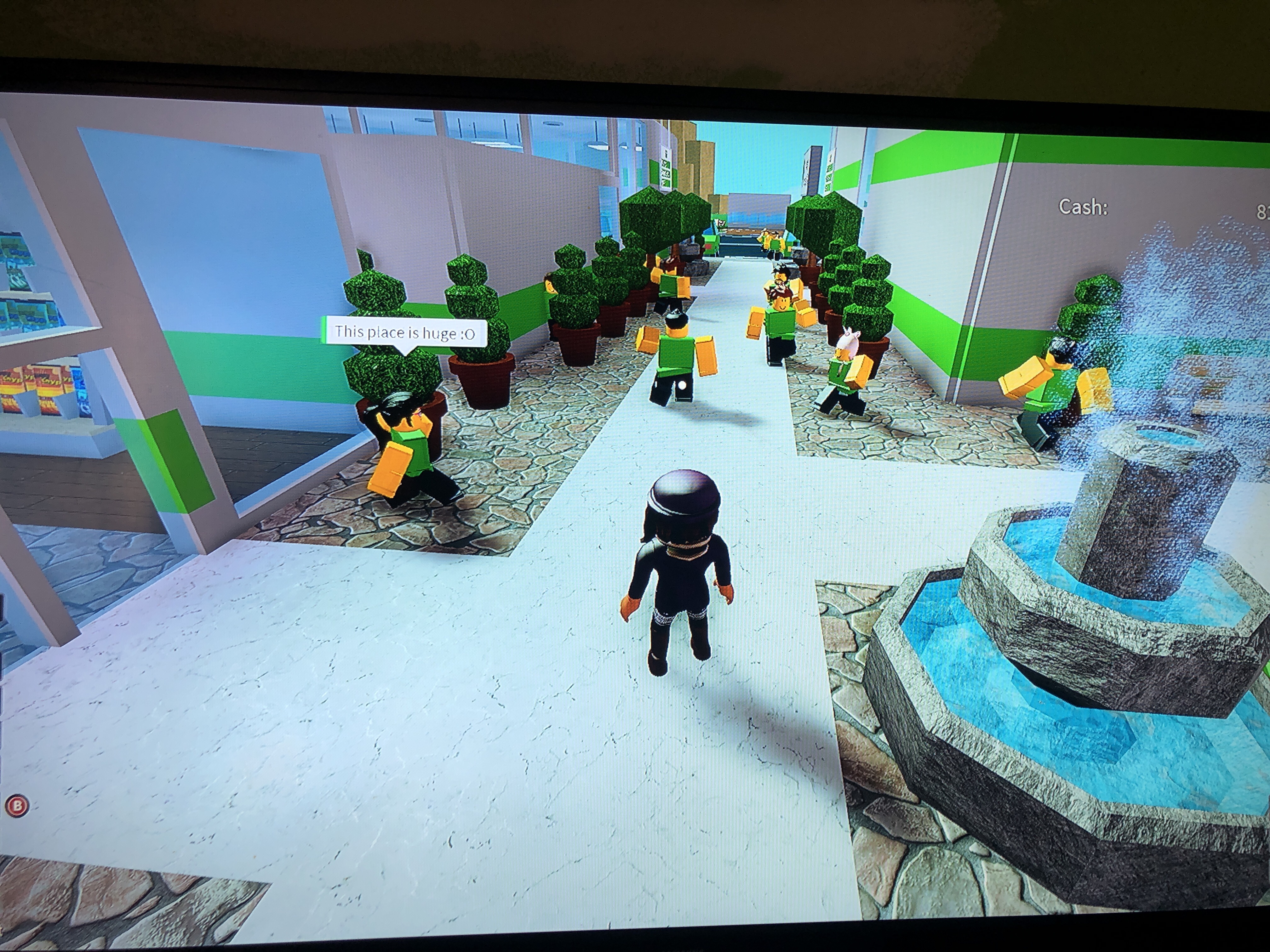 Roblox Retail Tycoon Money Tree