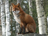 Spirit.6977's avatar