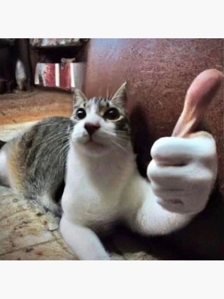 Useless.. useless.. | Fandom