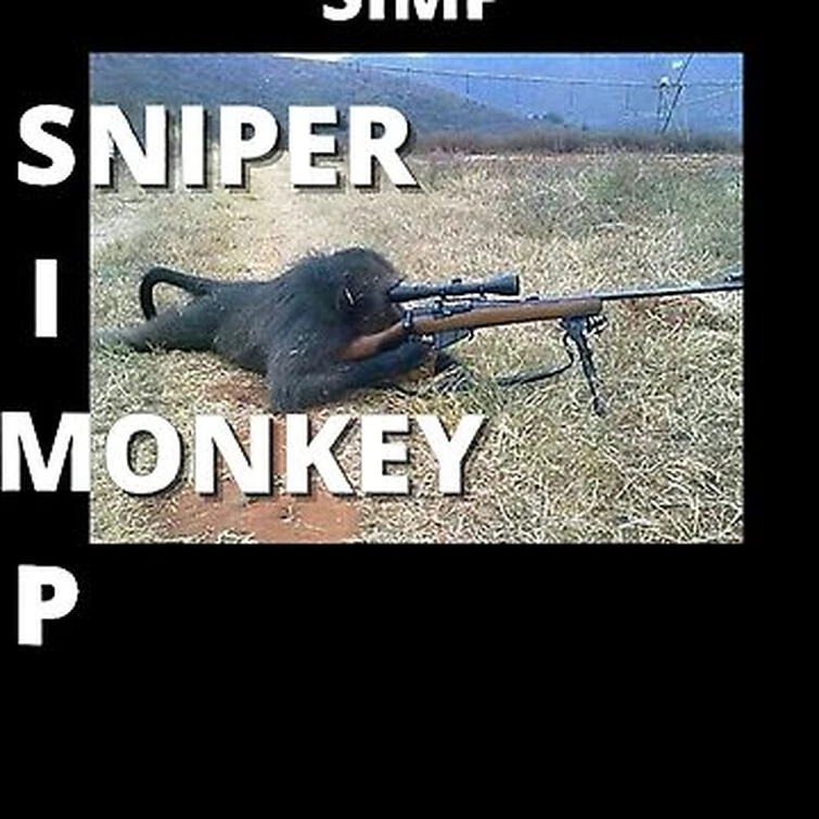 Here in Dallas with the president Fandom