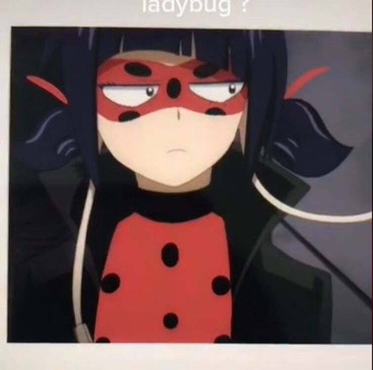 ladybug anime｜Pesquisa do TikTok