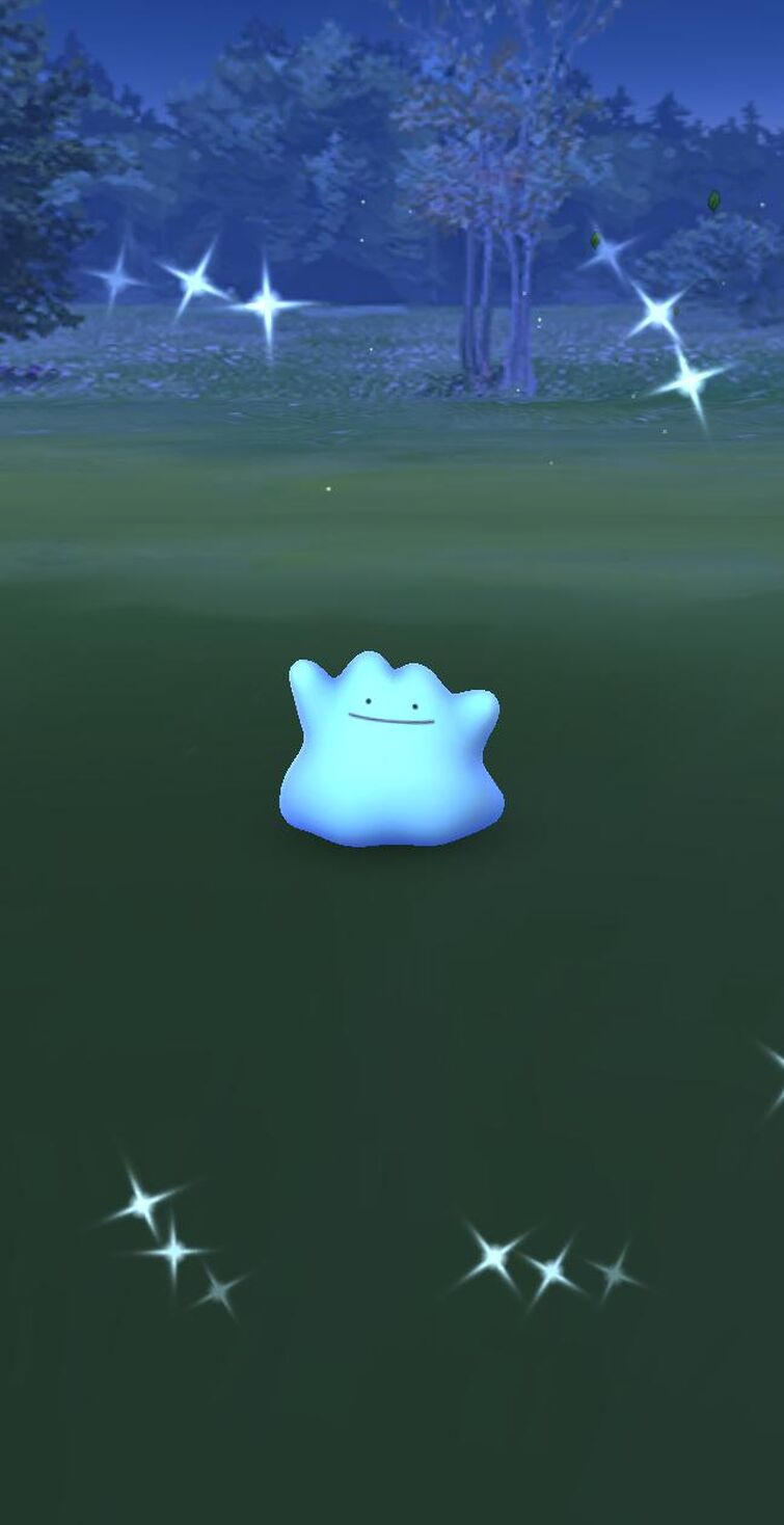 Ditto in Disguise at the Pokémon Center