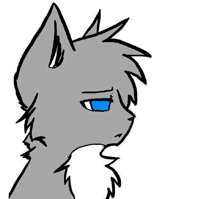 Коты воители рисунки для срисовки легкие и красивые