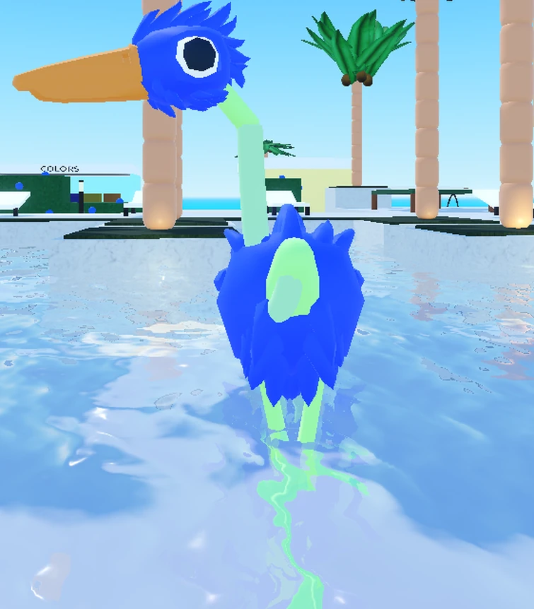 Bird | Fandom