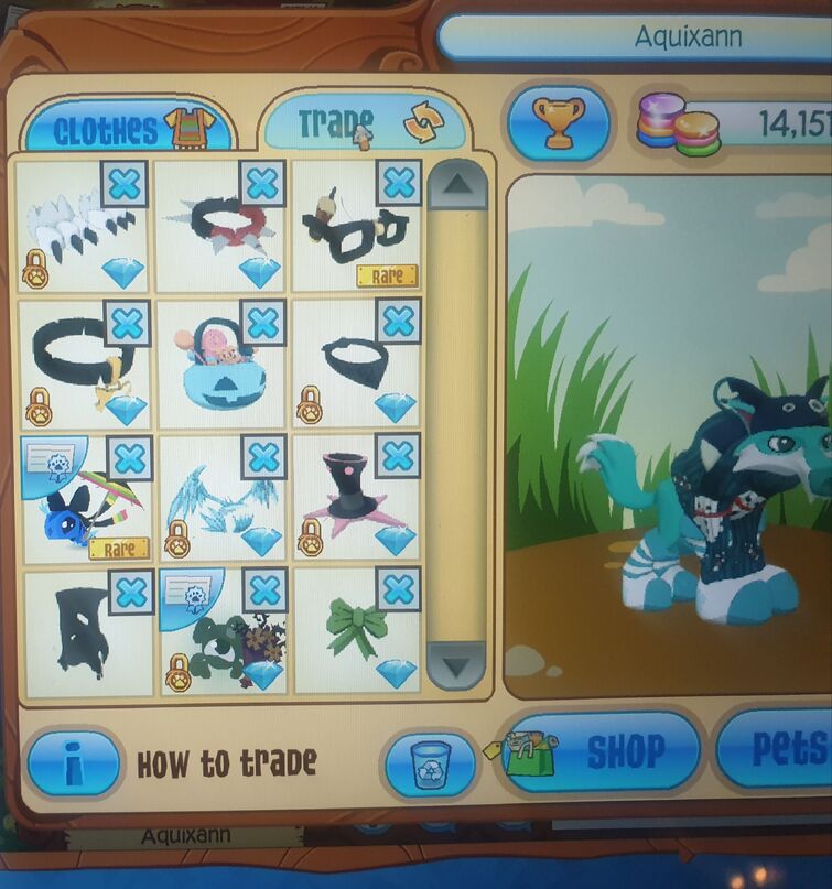 Discuss Everything About Animal Jam Item Worth Wiki Fandom