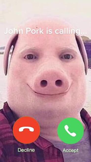 john-pork-fandom