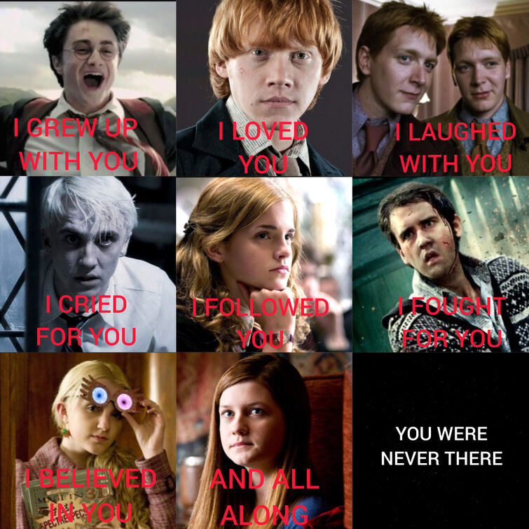 Harry Potter Fandom 