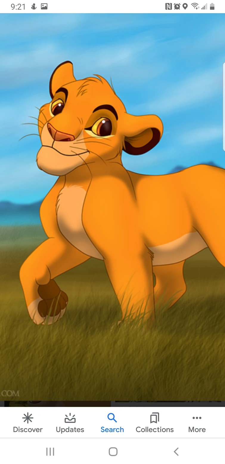 Are simba And nala siblings? Fandom