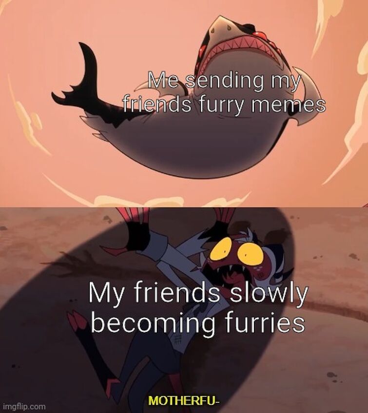 RELATABLE FURRY MEMES from a Furry Discord Server! by