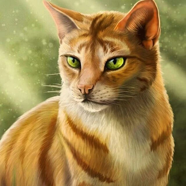 Schlimmerer Übersetzungsfehler | Fandom