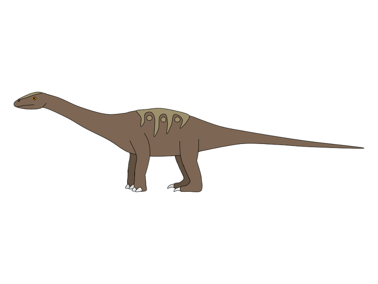 Camarasaurus lentus by SpinoInWonderland on DeviantArt