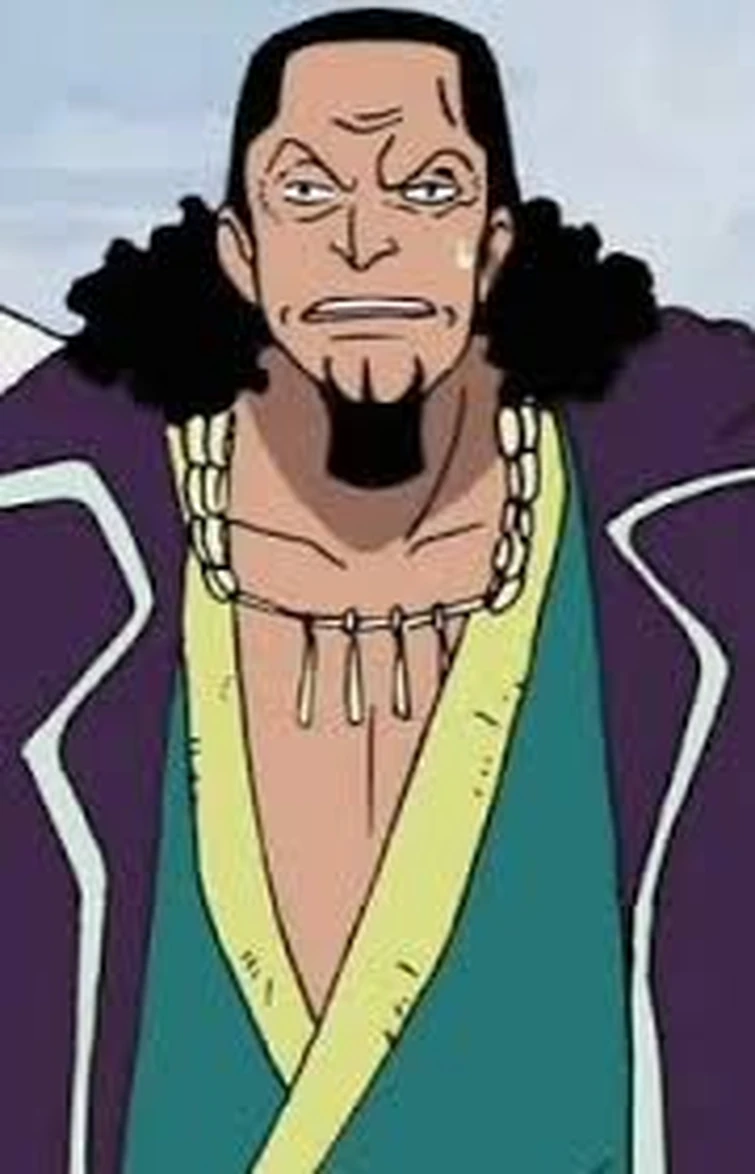 Roasting random One Piece characters Fandom